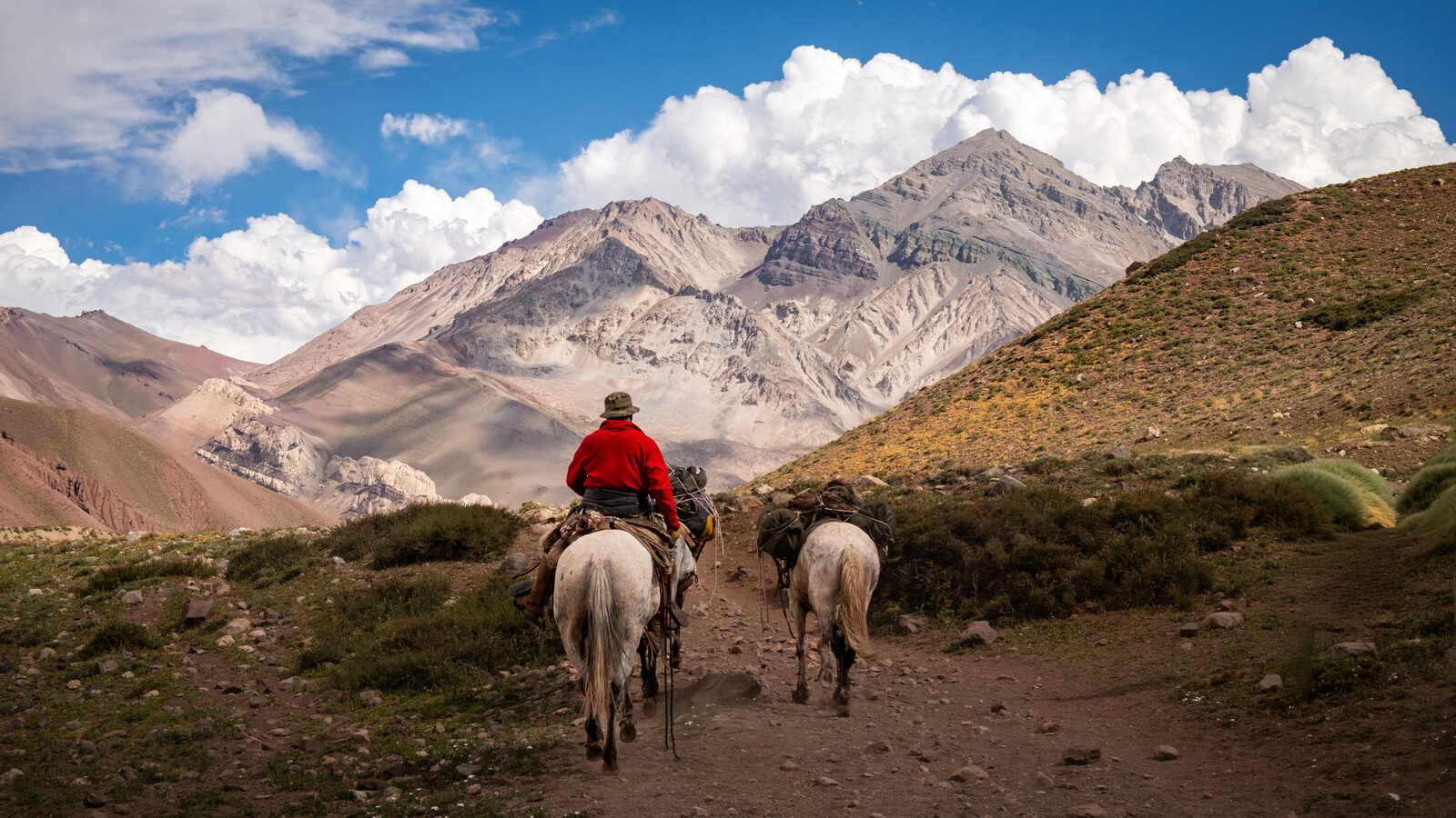 A rider leads a pack string into the Andes