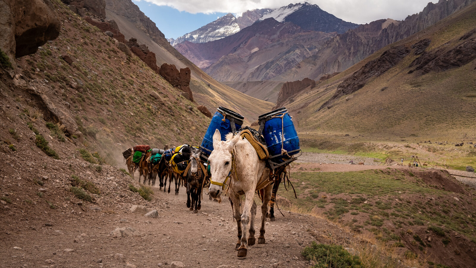 A mule train climbs the valley